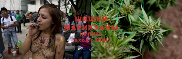 крисы Балабаново