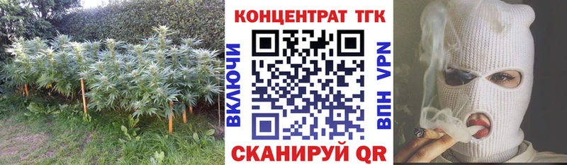 ТГК жижа  даркнет сайт  Заводоуковск 