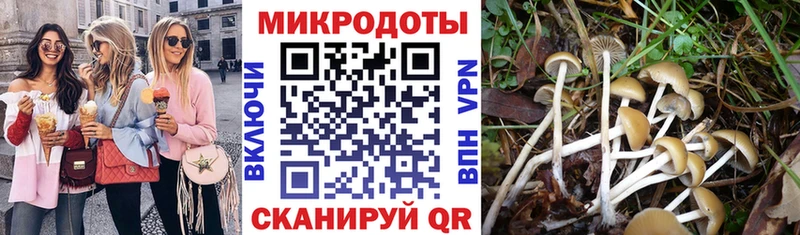 купить наркотики цена  Заводоуковск  Псилоцибиновые грибы Psilocybe 